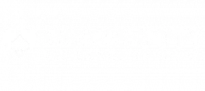 1000483743